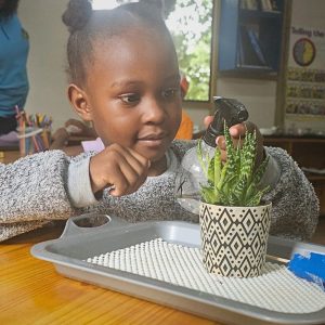 Bryanston Nurture & Nature