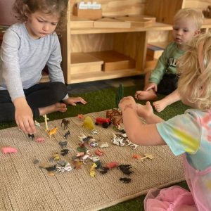 Nurture & Nature Montessori Preschool Ballito